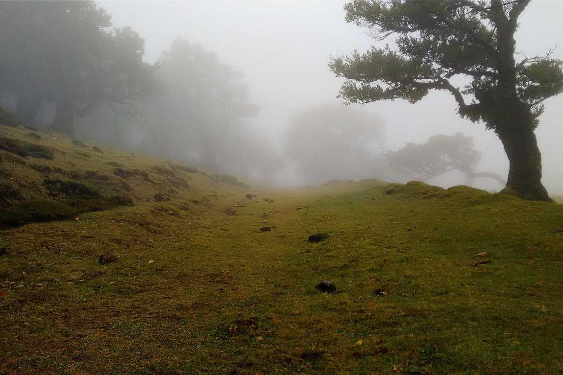 Aut perferendis incidunt unde praesentium eum qui expedita